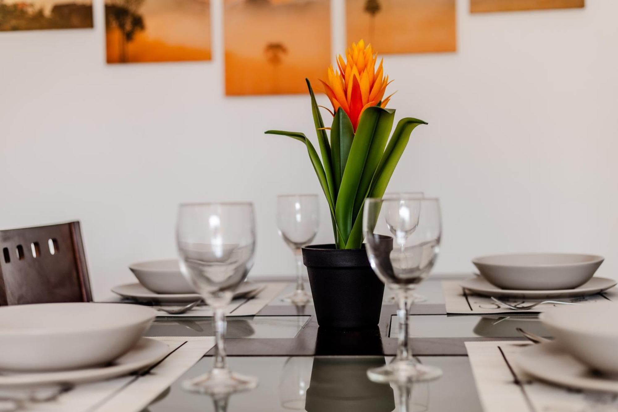 Mambo Palm-Mar Apartment Zewnętrze zdjęcie